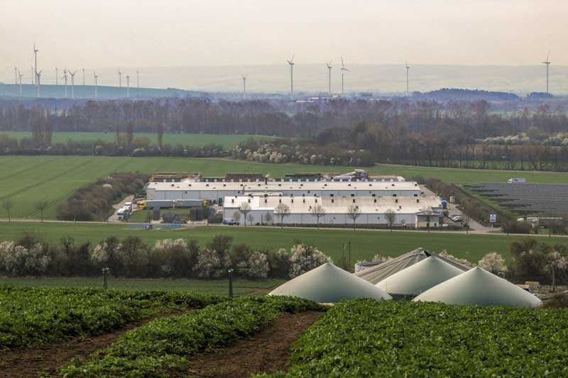 Pilzhof Pilzsubstrat Wallhausen Galerie