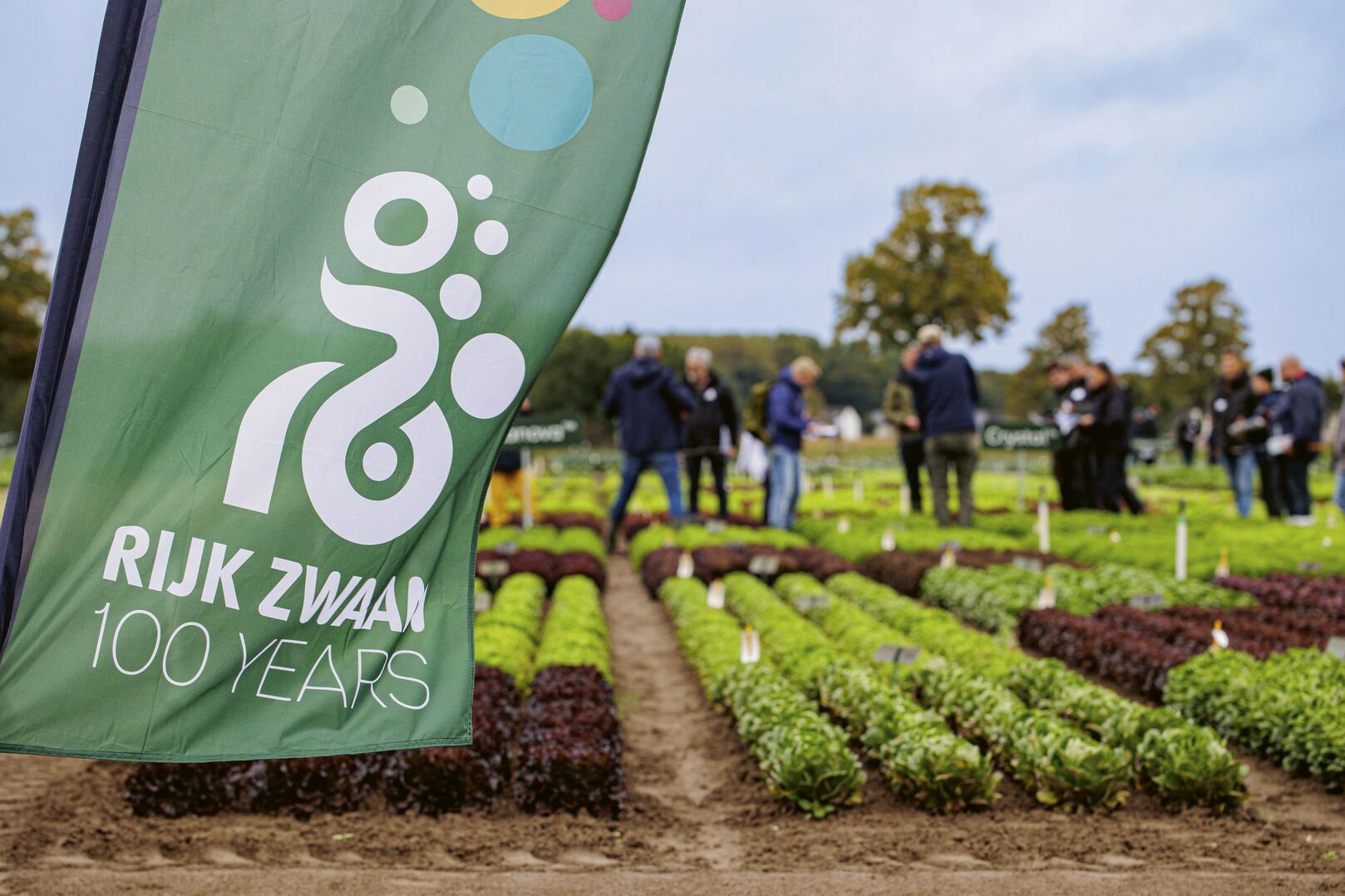 Rijk Zwaan Welver GmbH diversidad colorida