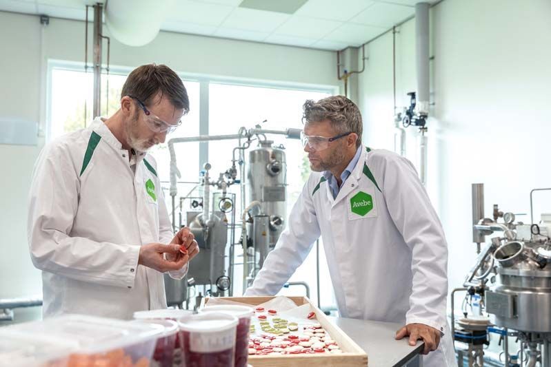 Le Centre d'Innovation Royal Avebe à Groningue