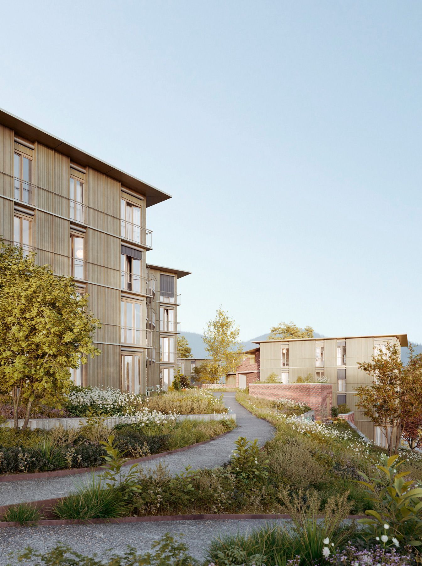 Fasada i wygląd budynków wielorodzinnych w projekcie Sonnhalde w Waldkirch zostanie dostosowana do struktury lasu poprzez pionowe deskowanie drewniane