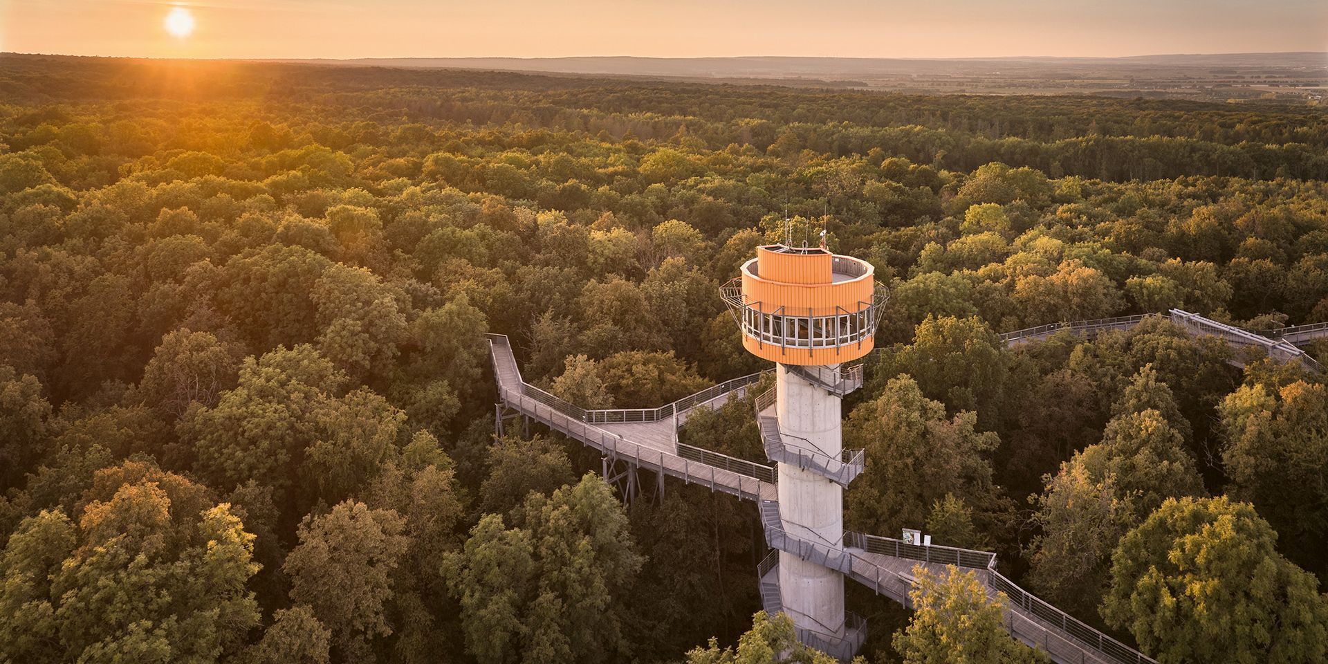 KTL Kur & Tourismus Bad Langensalza GmbH Baumwipfelpfad