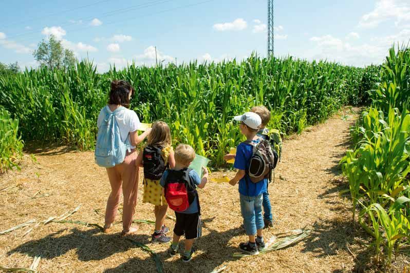 Munich Berry Corn Maze