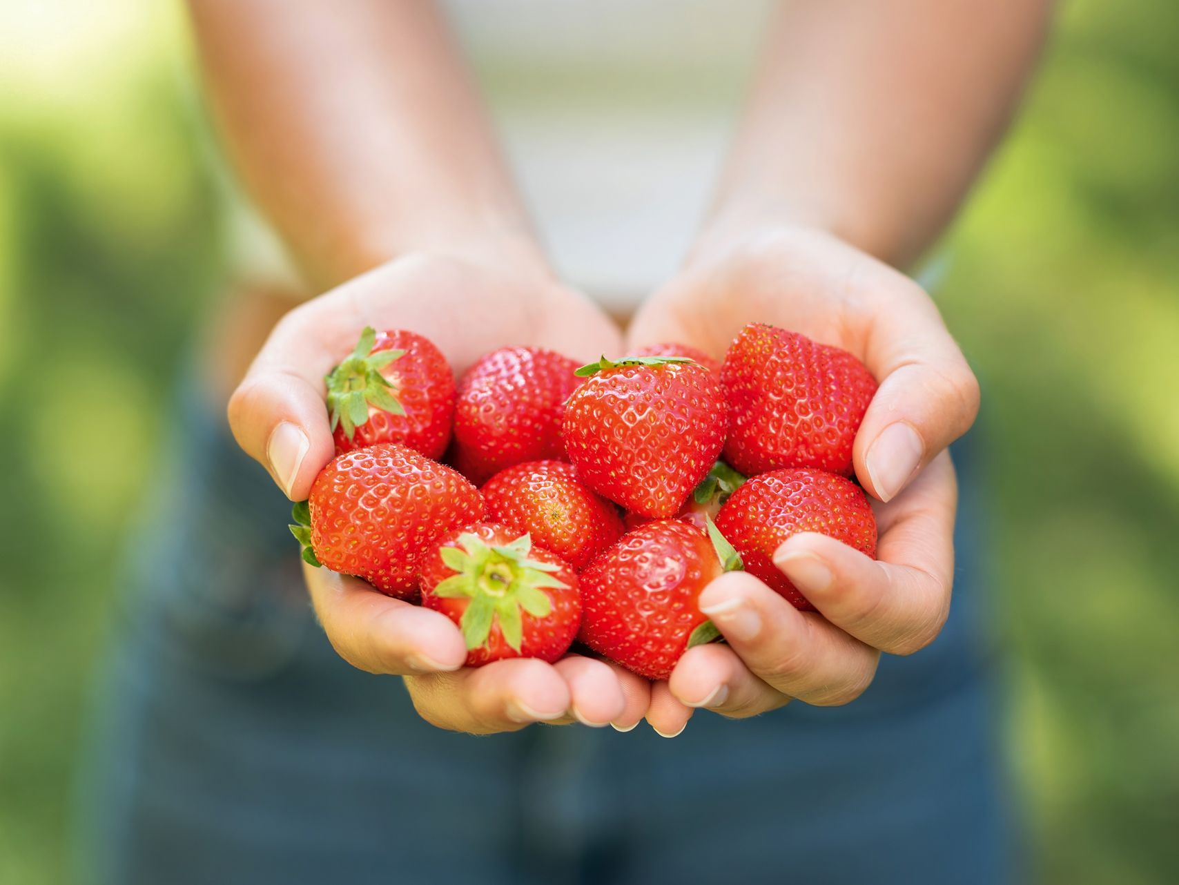 Iprona Hengersberg KG Eperszőlő