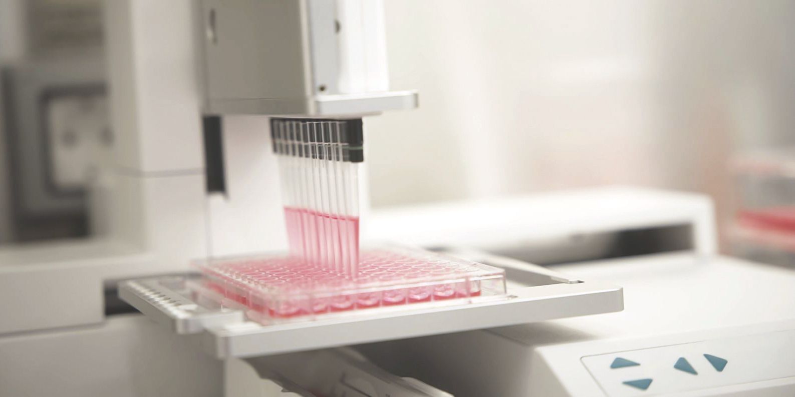 Contact Information GBA Medical Device Services GmbH Cell Culture Processes