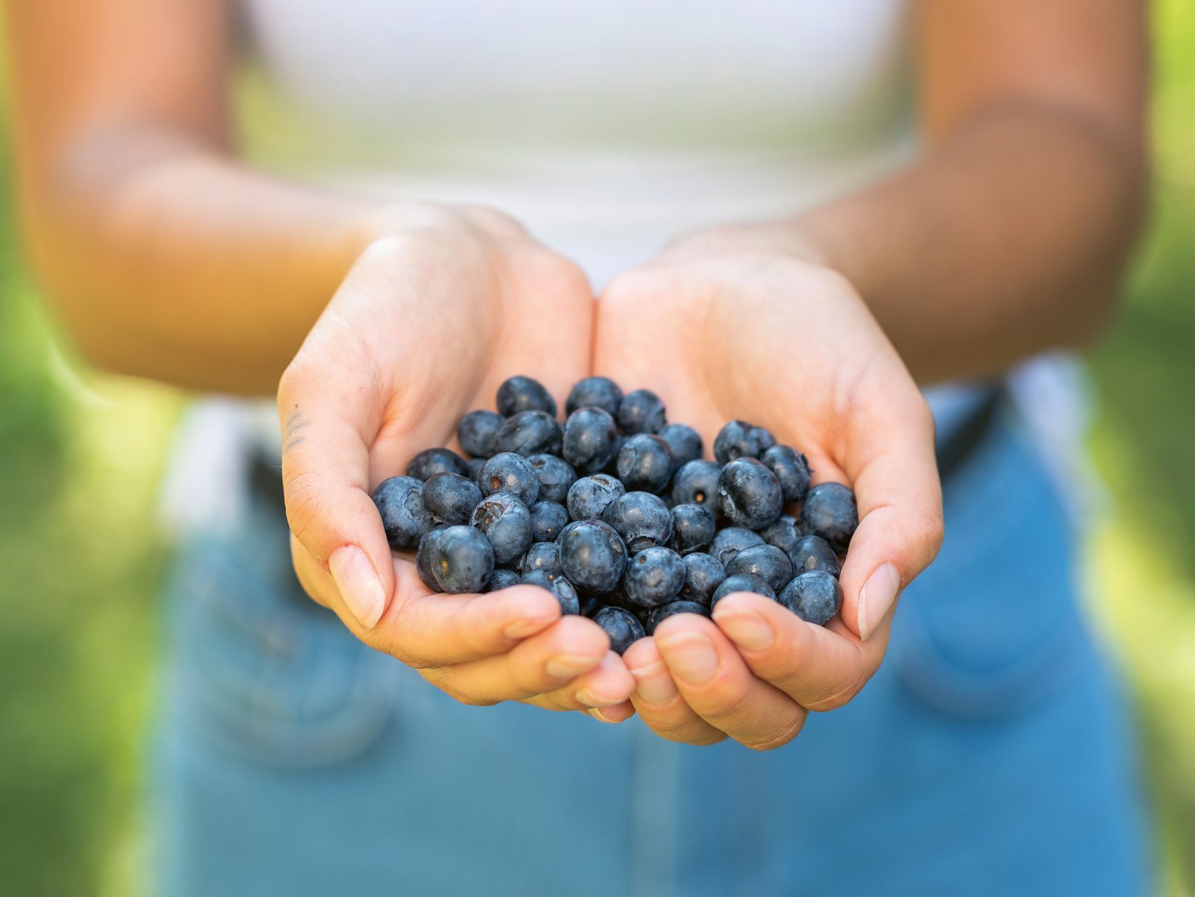 Iprona Hengersberg KG Áfonyák