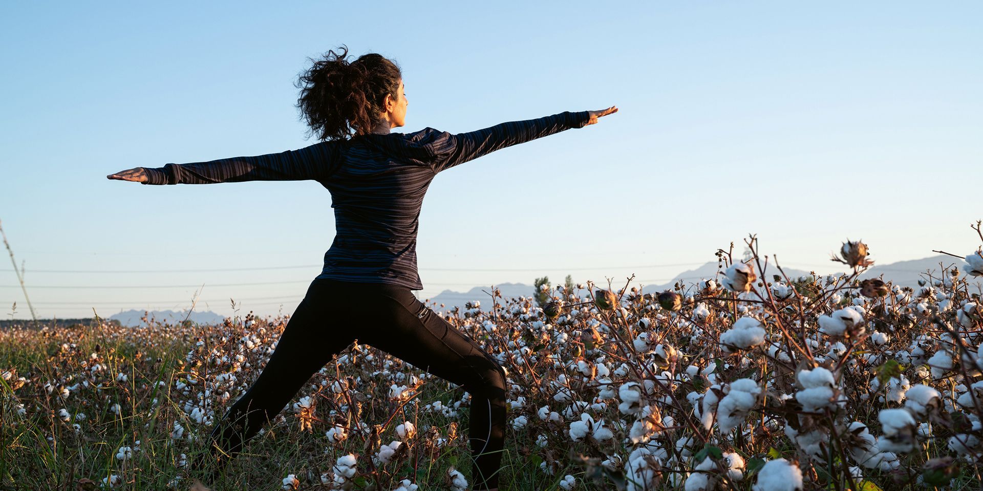 bäumlin & ernst ag Pole bawełny