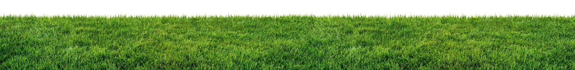 AdobeStock_337686341