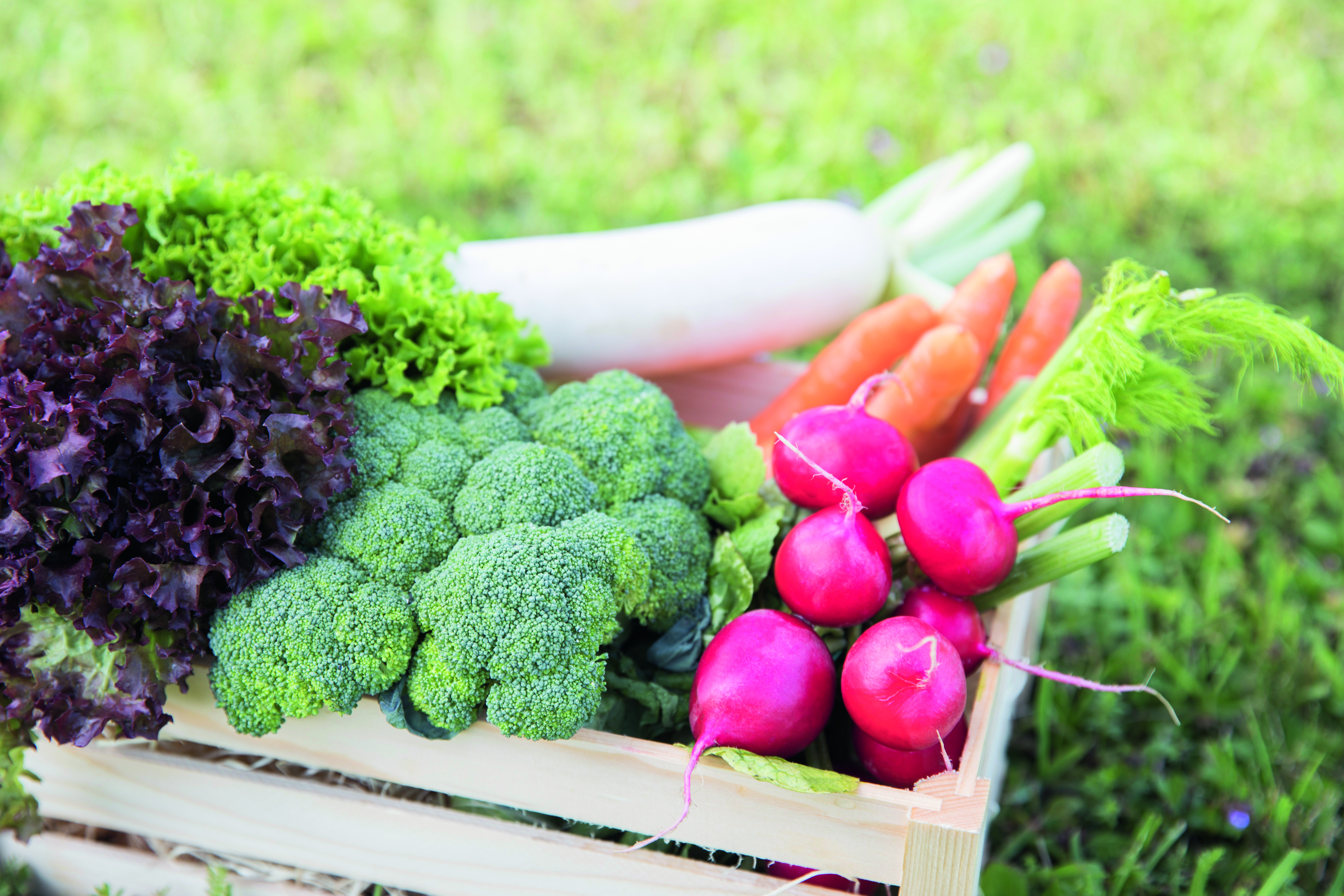 A fenntartható regionális élelmiszer ma és a jövőben is a vállalat gerincét képezi