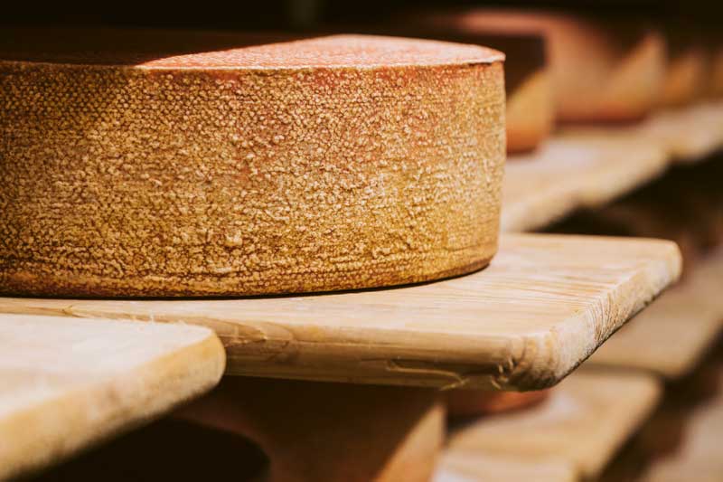 Güntensperger Kaasproductie