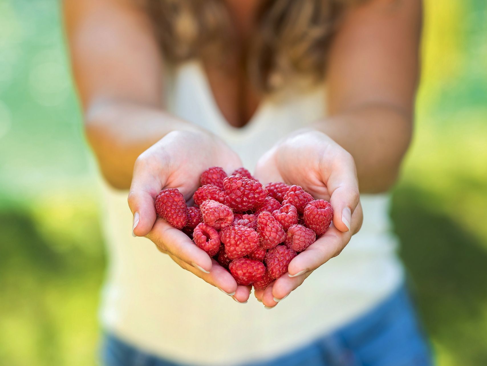 Iprona Hengersberg KG Málnák