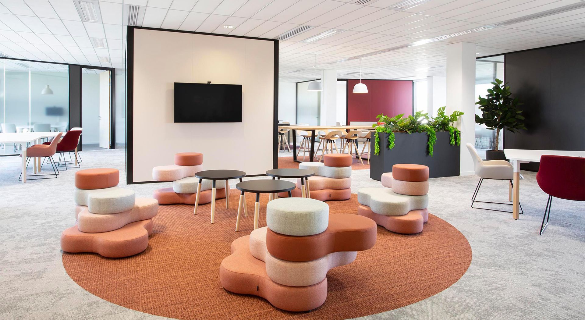 FLW Handels Ges.m.b.H Lounge-Karakter