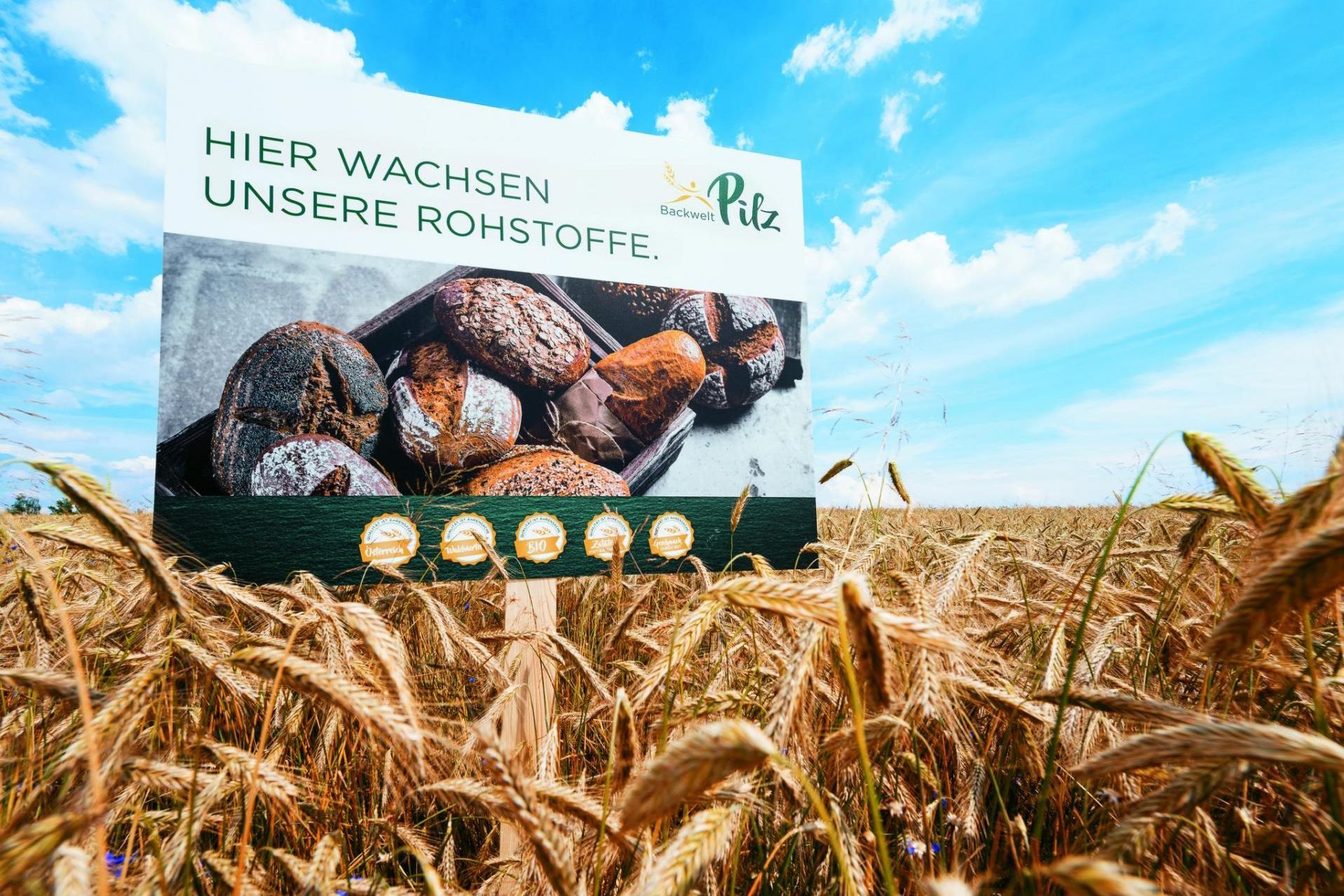 Backwelt Pilz GmbH Waldviertler Grain Field