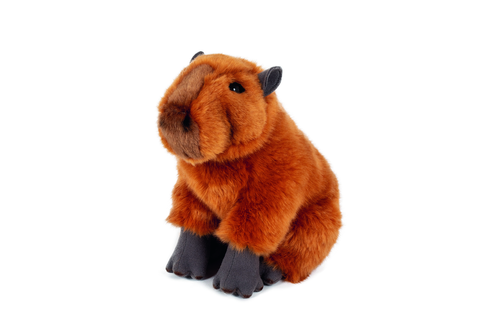 capybara uit de Premium Editie
