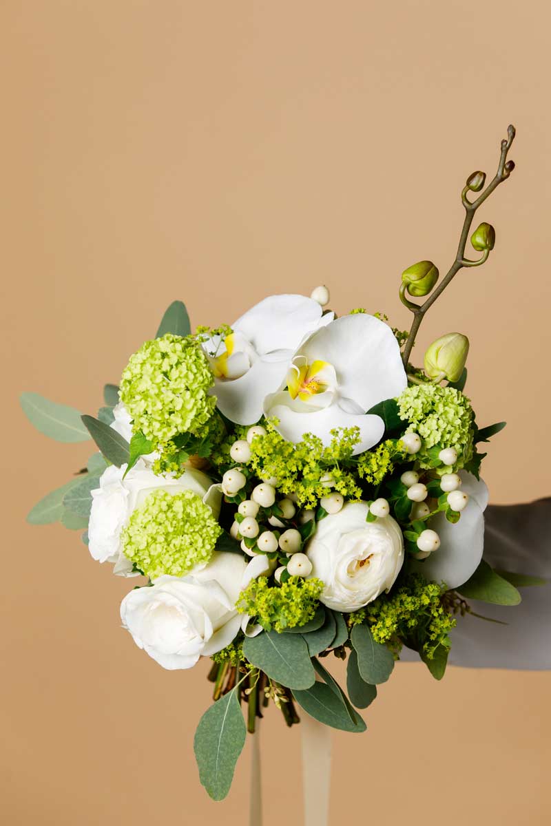 Nijssen Jr. BV Cut Flowers