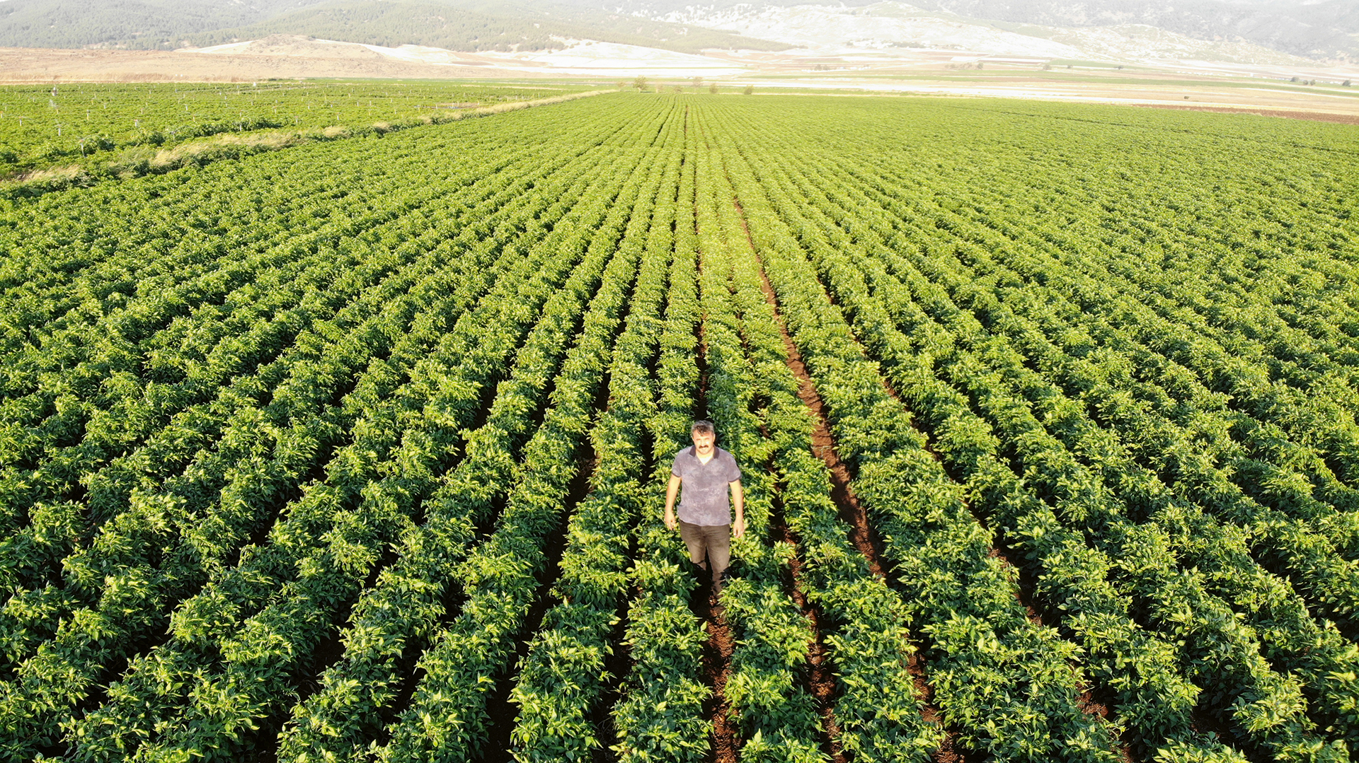 Wienerberger AG Wasser- und Energiemanagement