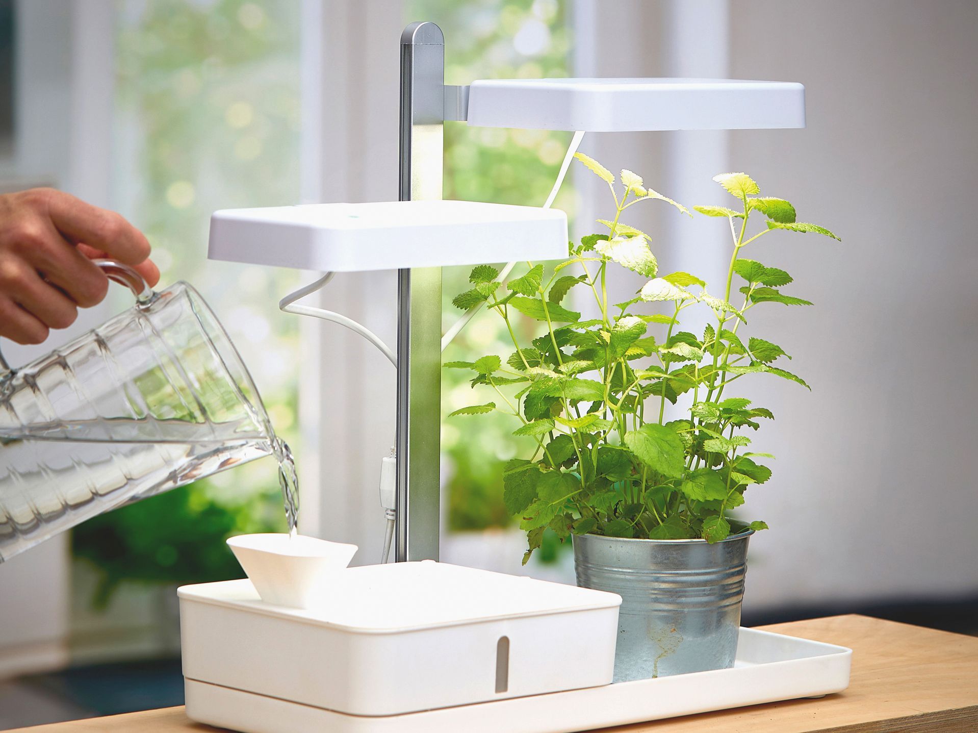 Northpoint GmbH Palántanevelő Rendszer