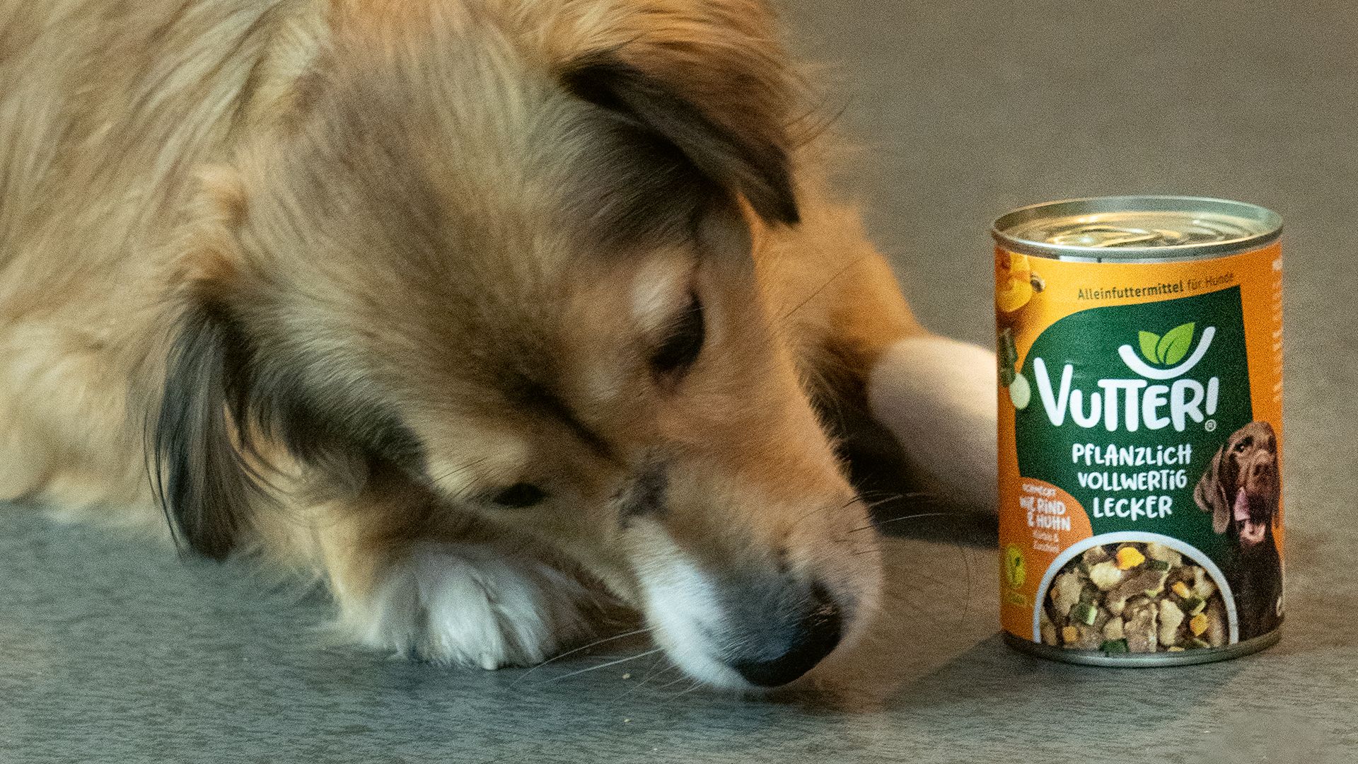 Green Plant Petfood GmbH Voeder