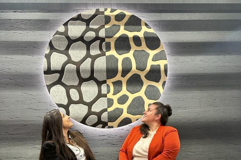 Röhr GmbH DOLLYWOOD®