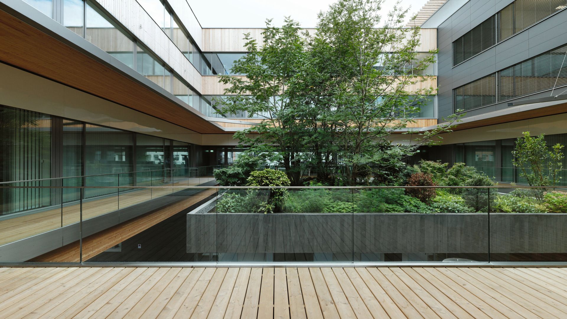 El E-Campus de Energie Steiermark incorpora un oasis verde dentro de su patio interior, proporcionando a los trabajadores de oficina una conexión serena con la naturaleza