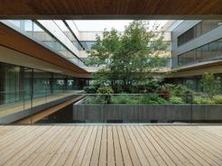 El E-Campus de Energie Steiermark incorpora un oasis verde dentro de su patio interior, proporcionando a los trabajadores de oficina una conexión serena con la naturaleza