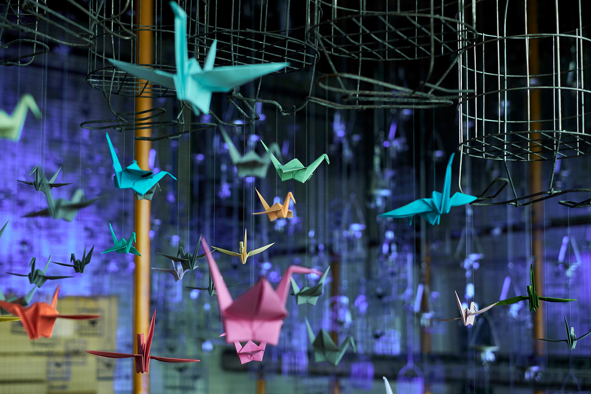 Entwicklungsgesellschaft Neue Zeche Westerholt mbH Event