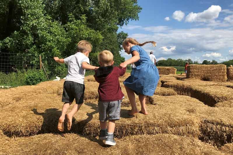 Munich Berry Straw Maze