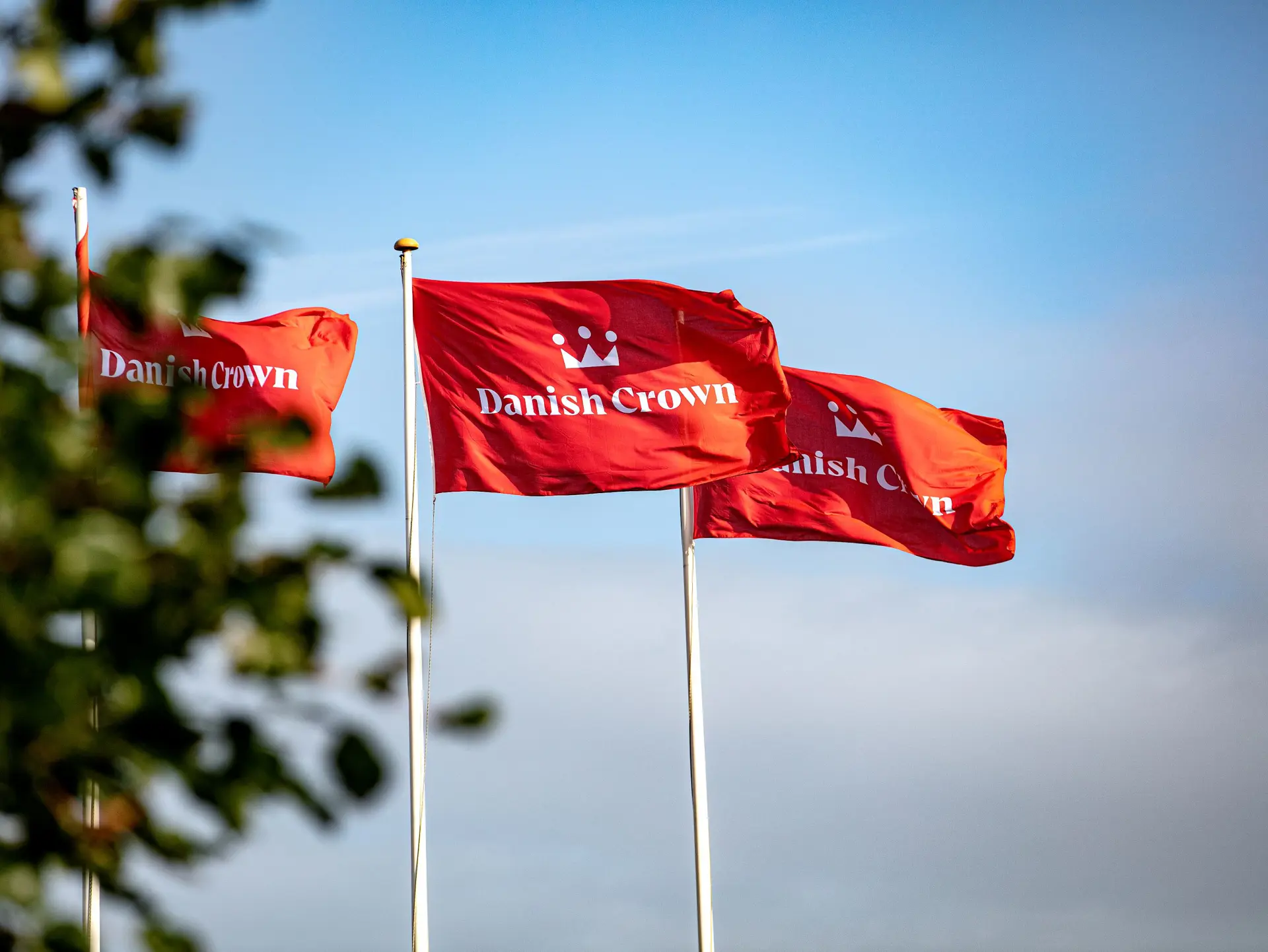 Le bandiere danesi rappresentano il forte patrimonio di Danish Crown, la sua fondazione di proprietà agricola e il suo impegno a portare qualità e valori danesi sui mercati internazionali