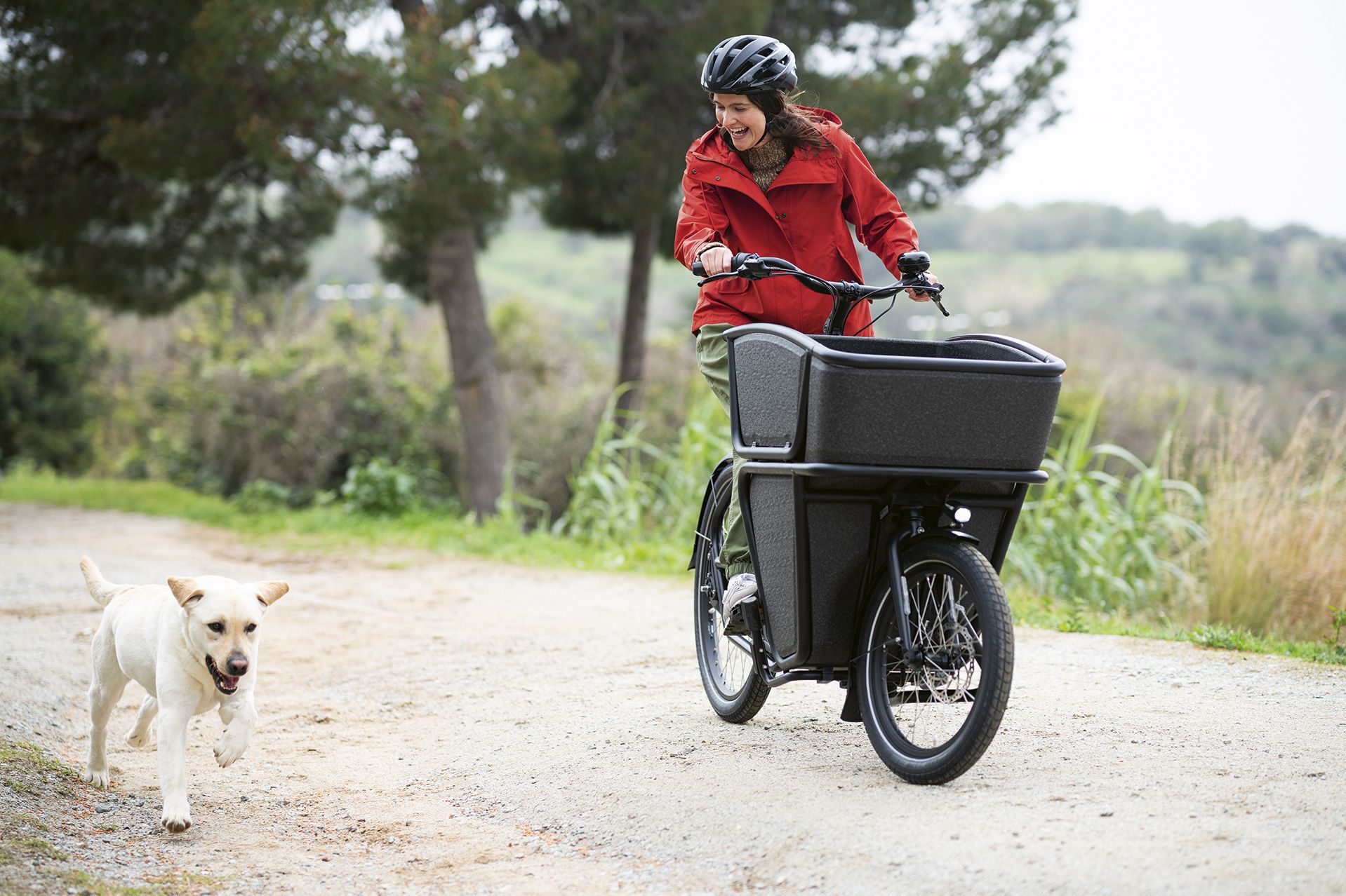 BusinessBike GmbH Lastenrad