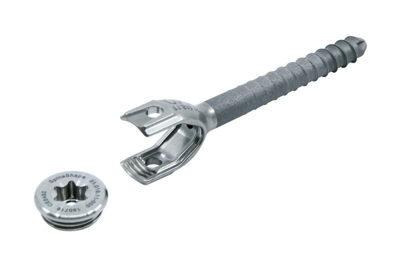 Diener Spinal Implant