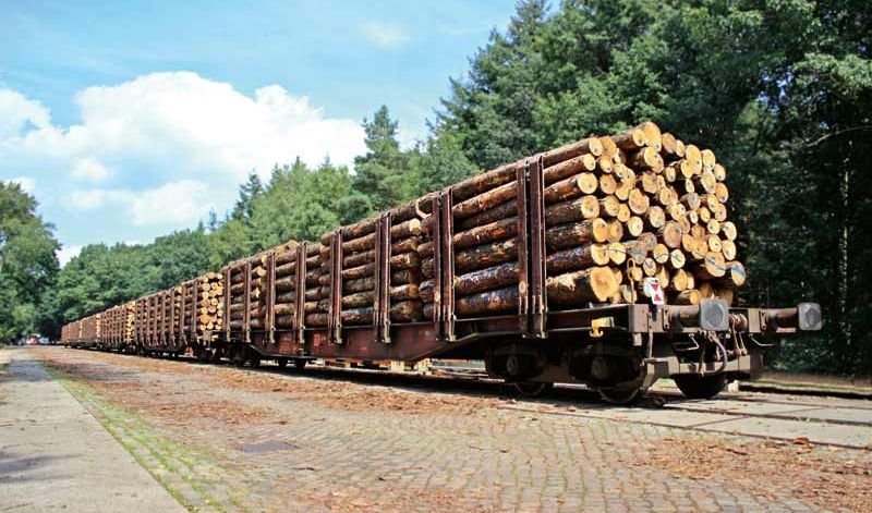 BTR - Transportation Logistics - Own Forestry