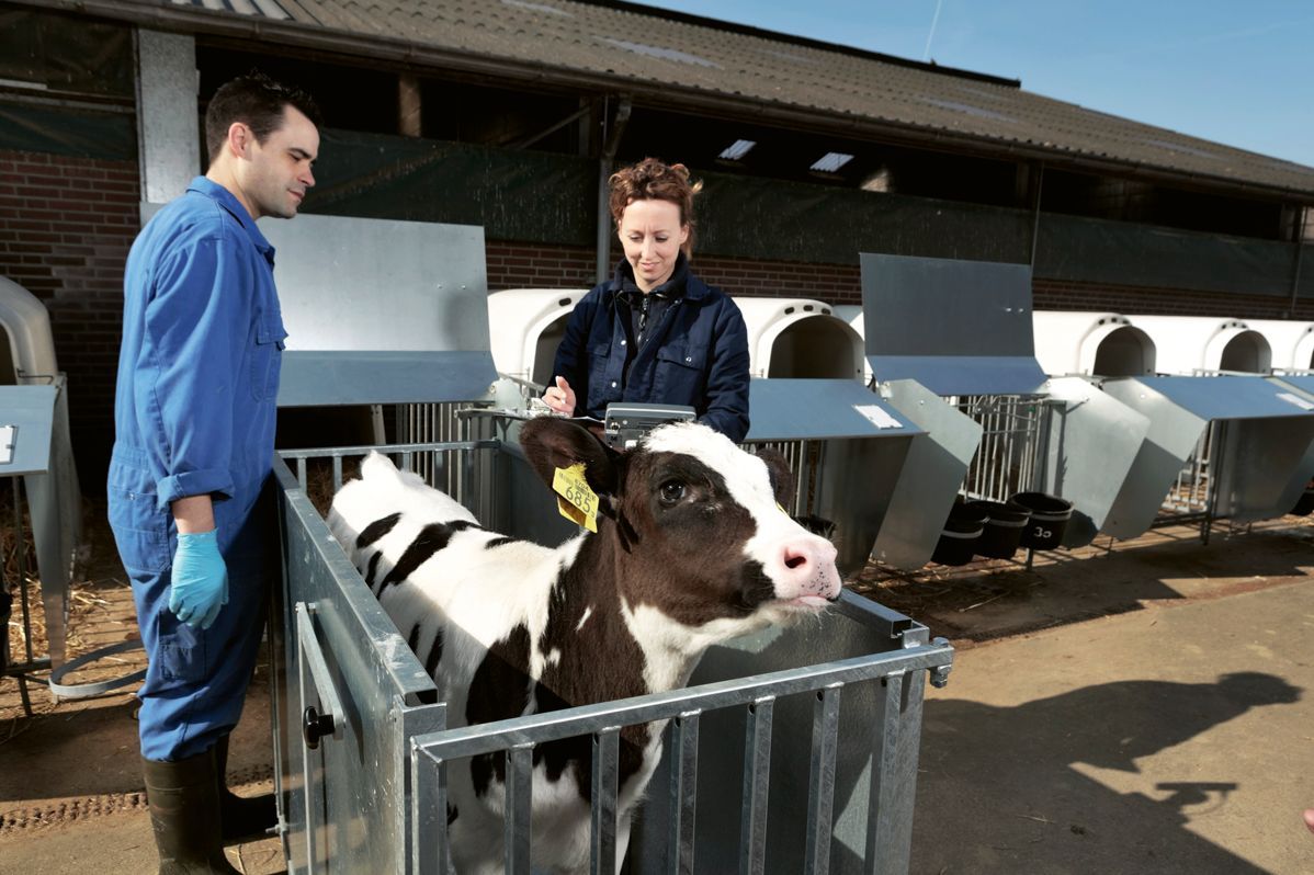 Trouw Nutrition Deutschland GmbH Podstawa zrównoważonego żywienia zwierząt